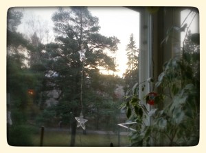 Day 9: Proekt 365 A brief moment of sunshine in Helsinki winter