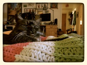 Day 18: Proekt 365 Cheeky Che Fufu. Need I say more?