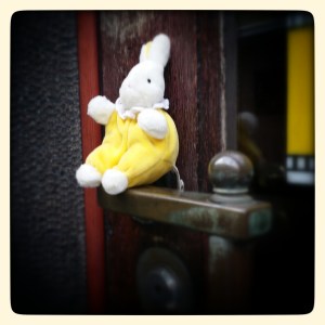 A random rabbit found in a shop doorway on Midsummer's Eve